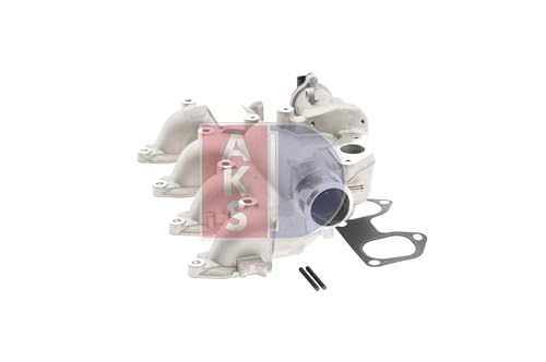 AKS DASIS Válvula AGR con junta, con colector de admisión, sin regulación de mariposa