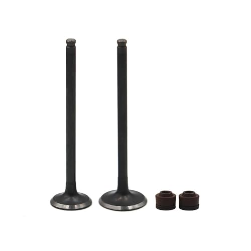 Válvulas de admisión y escape para reparar pérdida de compresión en moto VFR30 y RVF35