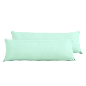 Evolive Ultra Soft Microfiber Body Pillow Cover/Pillowcases 21"x54" with Hidden Zipper Closure Set of 2. (Mint, Body Pillow Cover 21"x54")