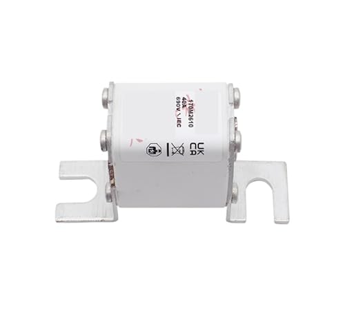 Fusibles 170M2610 pour protection de puissance industrielle calibre 160A 690V