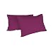 Italian Bed Linen Max Color Coppia di Federe Tinta Unita, 100% Cotone, Fucsia, 52 x 82 cm