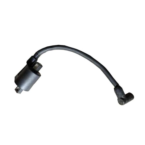 Bobine d'allumage 2 temps pour bateau 6 CV étincelle stable et démarrage facile