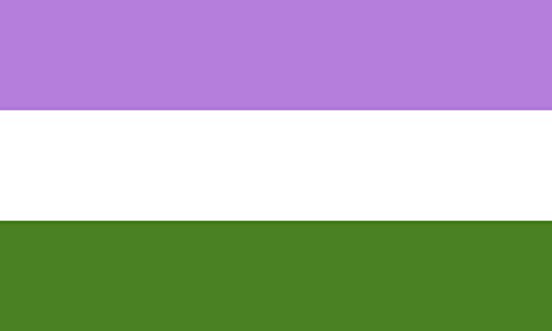 Drapeau Genderqueer Pride grand format pour défilés et décoration de chambre - 2