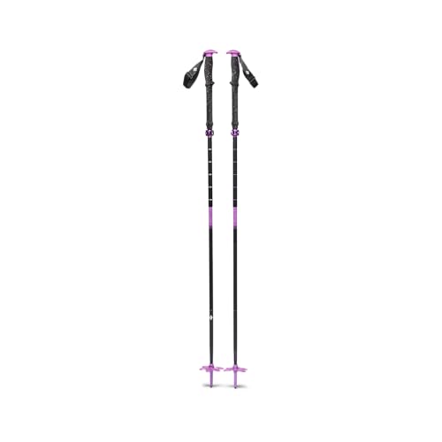 Bâtons de ski Black Diamond Expedition robustes en aluminium et réglage FlickLock premium