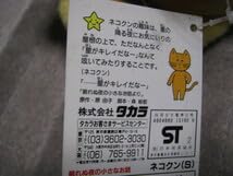 サザンオールスターズ 原由子 ネコクン 光って曲が流れるぬいぐるみ 絶版 レア Amazon.co.jp: サザンオールスターズ 原由子 ネコクン 光って曲