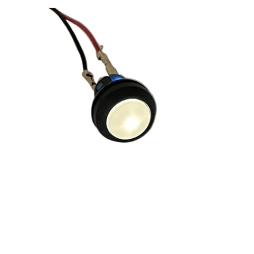 Interrupteur bouton sphérique 12mm étanche avec signal LED blanc 6V