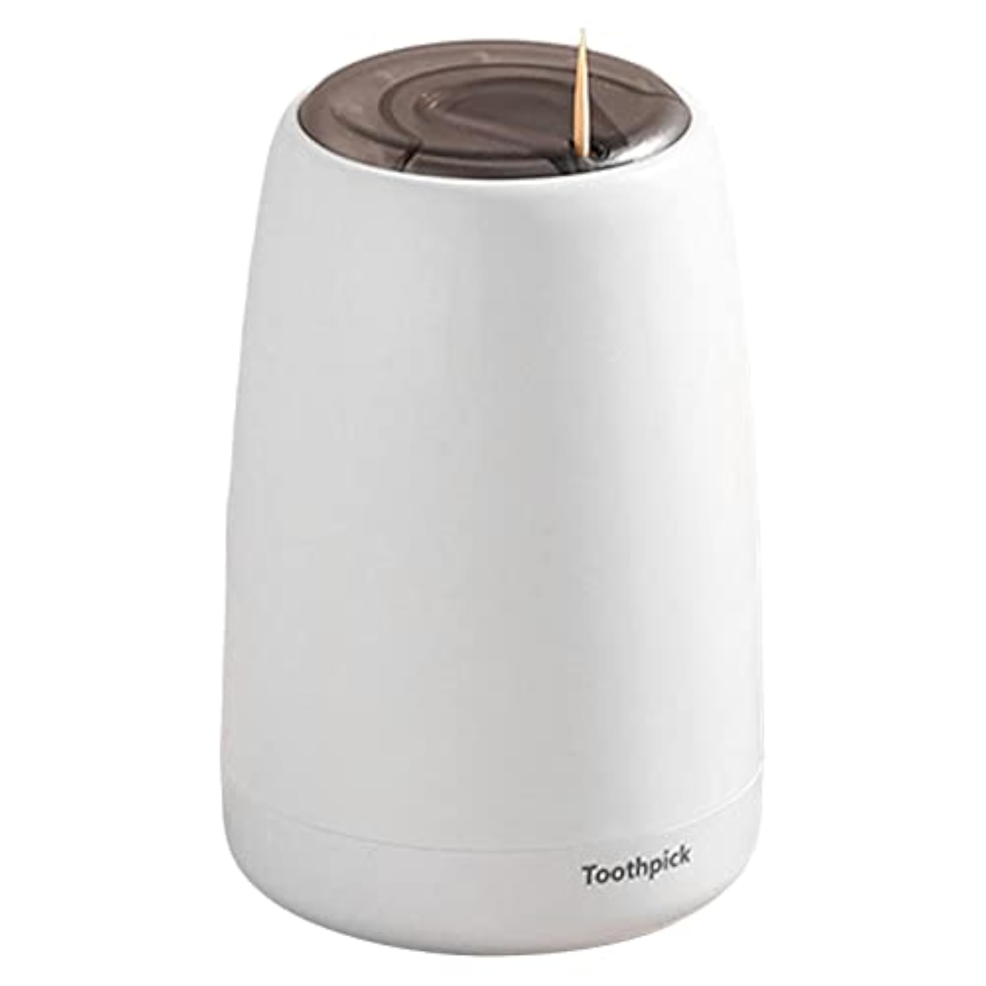 ABS Plastic Toothpick Storage Box Organizer