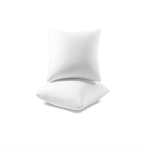 AM AEROMAX 12 ×12 Pillow Insert (Pack of 2) Memory
