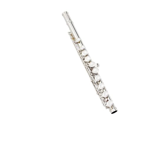 t[gyCL[t[gVo[bL^J\bh(A)