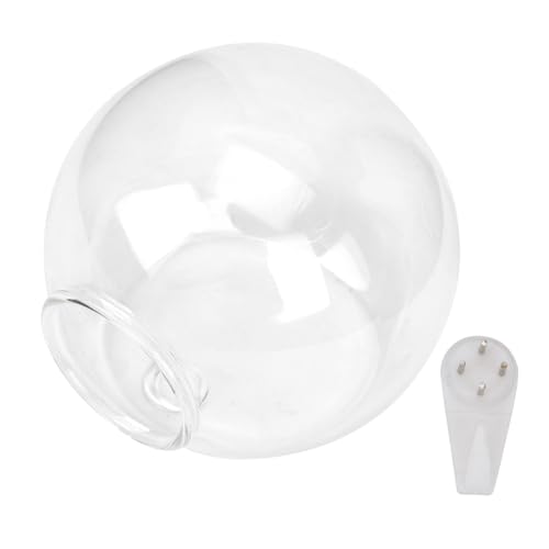 ORFOFE Jarrón de Vidrio Colgante Transparente para Decoración de Pared Maceta Redonda para Plantas de Agua y Micro Paisajes Decoración para Hogar y Oficina