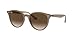 Produktbild Ray-Ban Unisex 0rb4305 0RB4305616613, Braun (Opal Beige), One Size