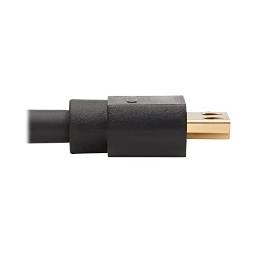 Adaptador Tripp Lite DisplayPort a HDMI activo 10 pies miniatura 4