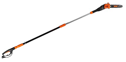 WEN Electric Pole Saw, Corded, 8-Amp, 10-Inch with 14-Foot Reach (CP0810)