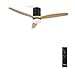 CREATE / WINDCALM/Ventilador de techo ABS con luz negro aspas efecto madera clara y mando / 40W, Silencioso, Ø132 cm, 6 velocidades, 3 temperaturas de luz, temporizador, función verano-invierno