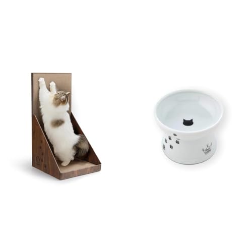 yZbgzby Amazon L ܂Ƃ oo{[h _[NuE (necoro) + Linecoichij nbs[_CjO Lp rtt[h{E M[ L ׂ~߃VRt