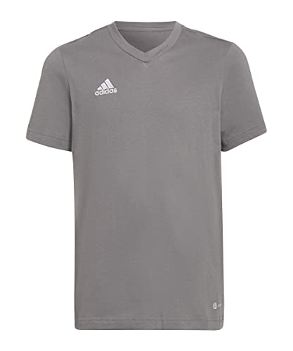 adidas Unisex Kids T-Shirt (Short Sleeve) Ent22 Tee Y, Tegrfo, HC0444, 164 EU