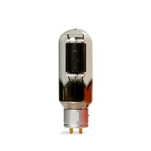 LHXEQJAM E-805A E805A Tube HiFi Audio Replacement 805 805A 805M(2 pcs)
