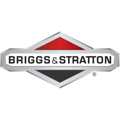 Briggs and Stratton 84006568 Module, Fuel
