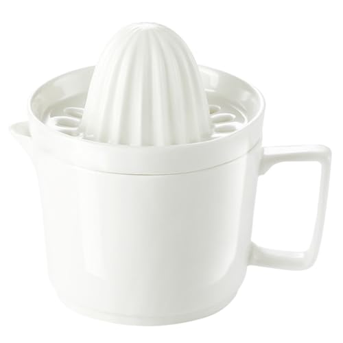 HOMOBABE 蓮i탌Z~bNW[T[IWW[Xi \\ t[cvXXNC[U[ Lb`ƒpLvp