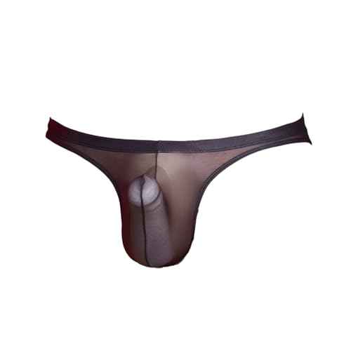 Mens Low Rise Sheer Contour Pouch Thong Stretchy Sheath Sissy T-Back Briefs Crossdresser Underwear