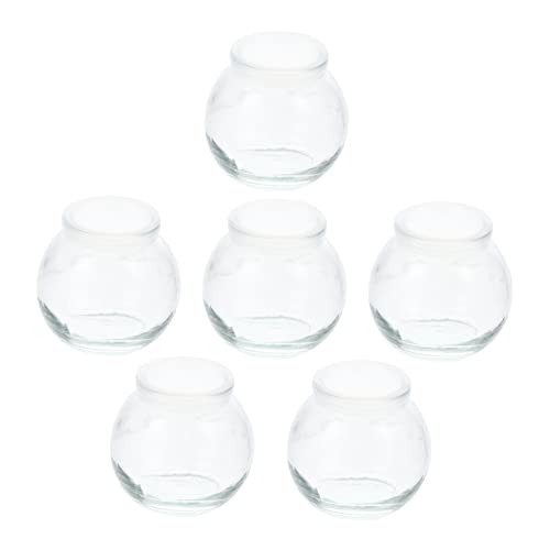 Homoyoyo 6pcs Glass Yogurt and Pudding Storage Jars Assorted Containers for Desserts Food Holders Lids for and Juice Drinks