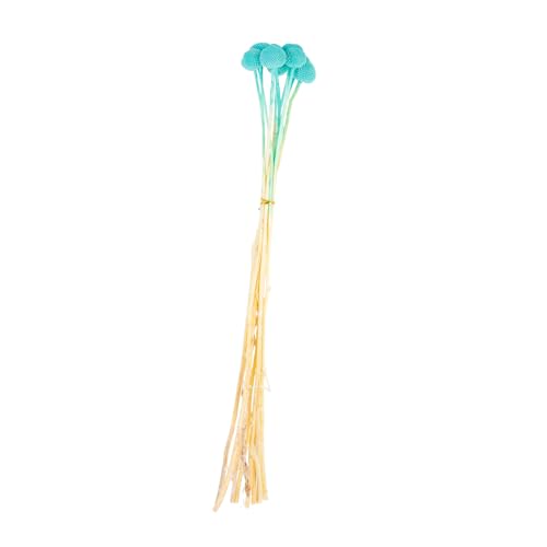 Garneck 10pcs Craspedia Dried Flower Decorations miniatura 1