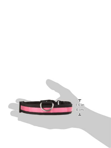 Collier LED chien rose étanche KABB rechargeable USB ajustement 65cm