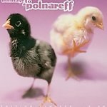 Hommage to a Polnareff [IMPORT] [Audio CD]