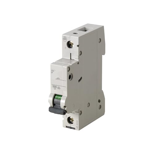 Disjoncteur miniature 5SL6 protection contre surcharges circuit 10A