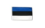 Fahne Flagge Estland 30 x45 cm