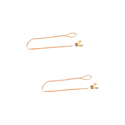 CORHAD 2 Pcs Turtle Lizard Leash Pet Pulling Rope Reptile Lizard Leash Rope Pet Supplies