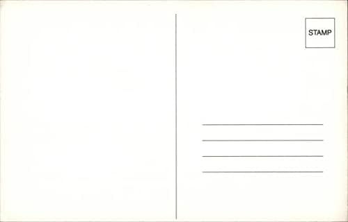 Miniatura 2 de Suburban Pulling an Avion Trailer Trucks Original Vintage Postcard