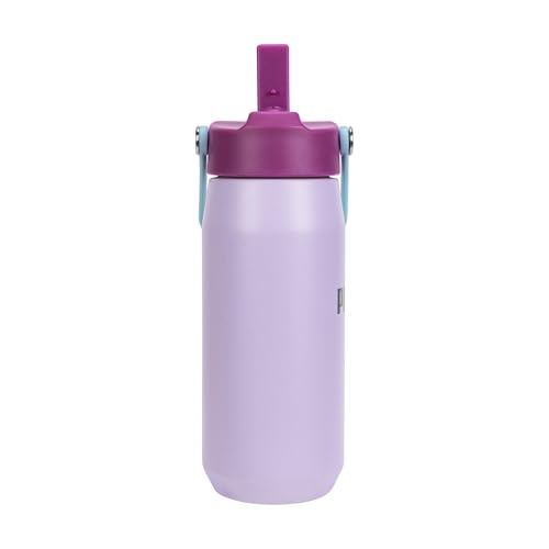 Image of PUMA unisex-adult 18oz Insulated Stainless Steel Water Bottle With Straw & Carry Handle