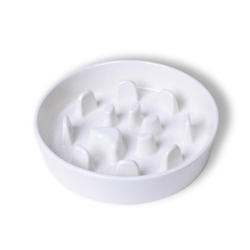 pX[tB[_[{EA^pی^Z~bNybgt[h{EAĤׂxȂyオp{E(zCgAM-1.3Jbv)