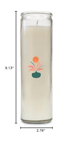 Studio Oh! CAC81 Southwest Desert By Kristian Gallagher Citronella And Citrus Zest Cathedral Candle, White Pillar Candle In Decorative Glass Candle Cylinder thumb #6