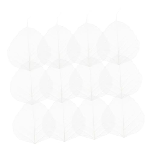 20 hojas secas esqueleto para manualidades y scrapbooking