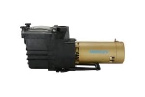 DOHENY 1.5HP POOL PRO PLUS PMP