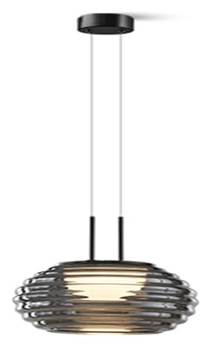 Lampes suspendues Simples CNCNSH - Lustre Plafonnier LED en Verre Salon