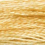 Image of DMC 1008F-S676 Shiny Radiant Satin Floss, Golden Brown, 8.7-Yard