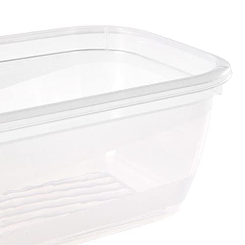 keeeper Frischhaltedosenset 5-teilig, 5 x 0,5 l, 15,5 x 10,5 x 6 cm, Fredo Fresh, Blau Transparent