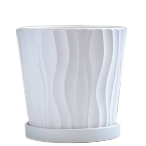 �� �A�ؔ� �v�����^�[ ���� �������- �~���` �Z���~�b�N ���� - �����Ɖ��O�̐A���A�ؔ� �r�����ƃ\�[�T�[�t���Z���~�b�N�A�ؔ� 15cm �� ������� ���A�� �C���e���A ���� �I�t�B�X ���� ���� �ϗt�A�� �����A�� (���`-�z���C�g) ���`-�z��