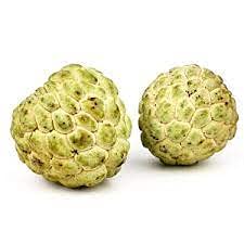 Plant Nursery Online Sita Phal - Custard Apple Grafted (Pack of 1) - Live Plants Custard Apple For Garden/sitafal For Home (B07SMRL577) Amazon Price History, Amazon Price Tracker