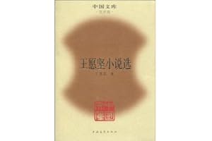 Wang Yuanjian Fiction (Hardcover) [Chinese Edition]