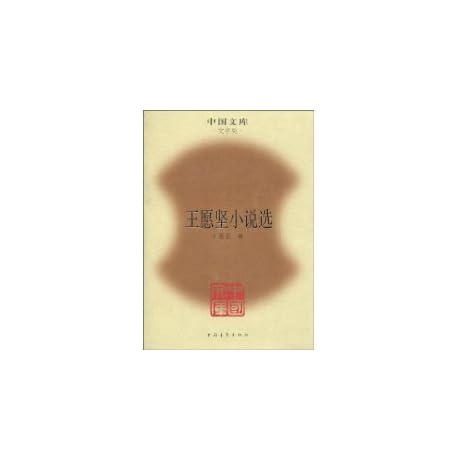 Wang Yuanjian Fiction (Hardcover) [Chinese Edition]