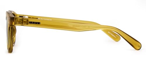 CARVE Havana Sunglasses – Classic Round Frame, Universally Flattering Fit, UV400 Protection3