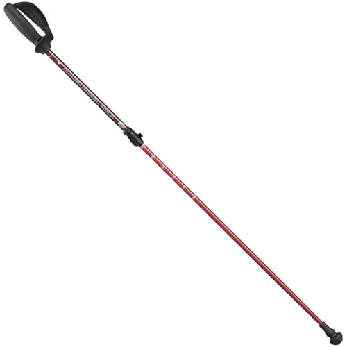 MIZUNO(ミズノ) ノルディック・ウォーク ウォーキングポール ソフトホールドStd ショートタイプ 2本1組 ユニセックス レッド C3JTPC20