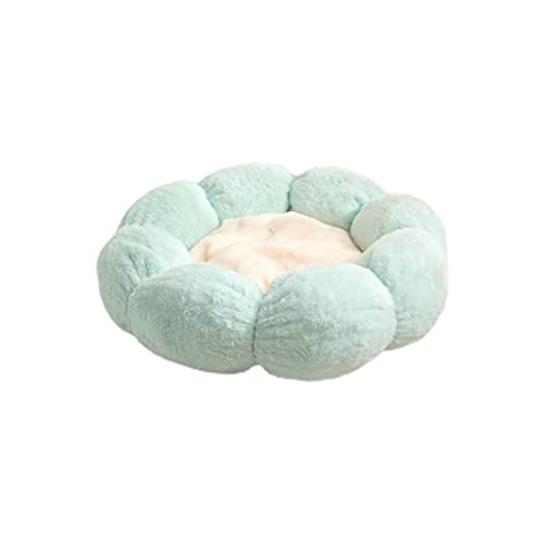 Lpxbhpxbh^pEhRÃybg\tgʂ 2 S gxbhLp