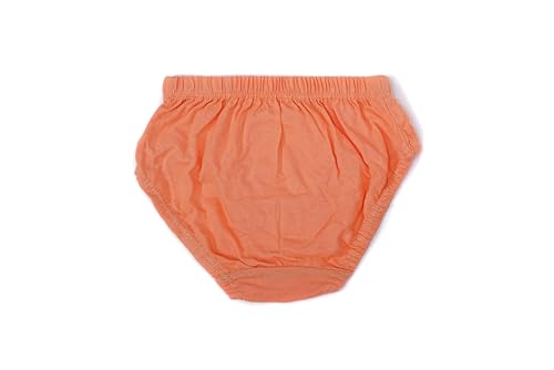 Image of Red Rose Kids Girls Cotton Printed Panty Pack of 6-Assorted