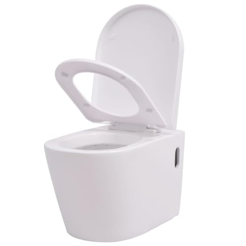 Rantry Inodoro suspendido moderno con cierre suave, diseño elegante y fácil de instalar, color blanco esmaltado, dimensiones 56 x 36 x 34 cm