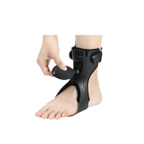 SuzapiwAveN^[Ahbvtbgu[XAoXVOтɂݎꃉjOV[YEH[LOKŌy (pGAobOAbvO[h,L)